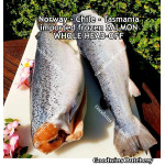 Salmon frozen bone-in Norway / Chile / Tasmania STEAK 3/4" 2cm (price/pack 500gr 2-3pcs)